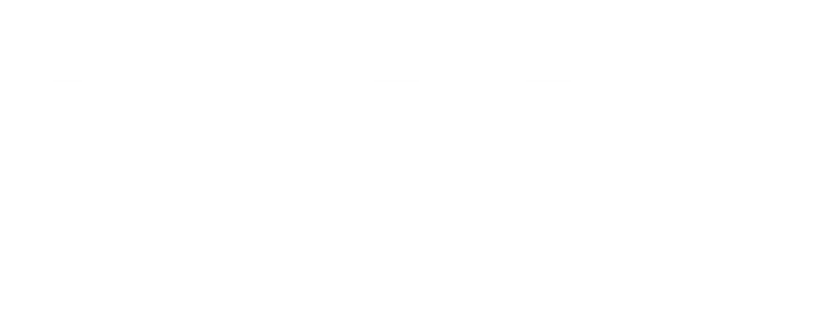 Logo Footer